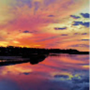 Meet your Posher, Izzy